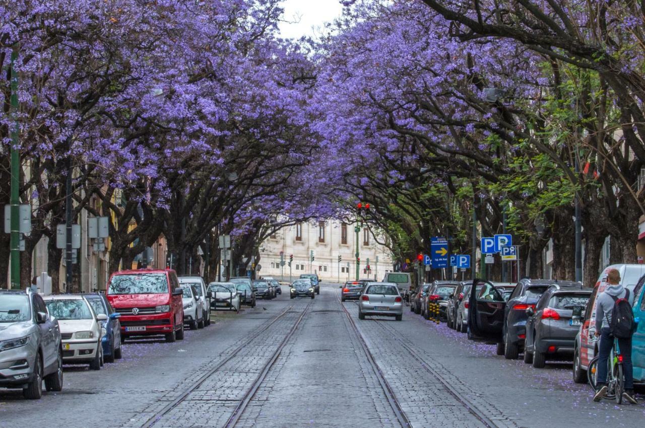 شقة هيرمتيدج كاستيلو - كاسا شافريز Lisboa المظهر الخارجي الصورة